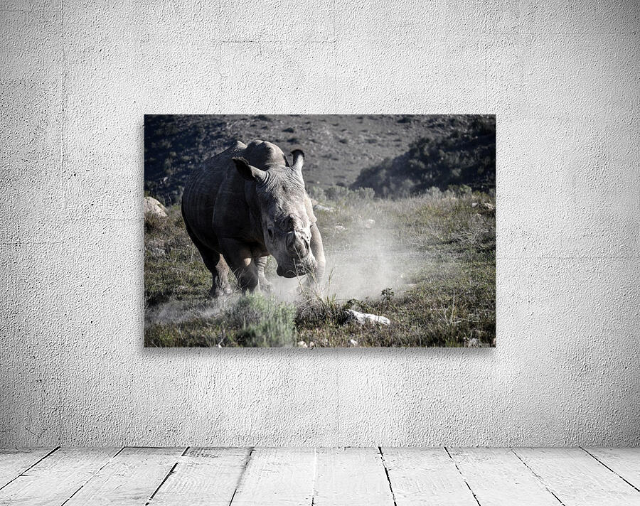 Rhino Wall Preview