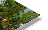 Idaho Falls HD Metal print