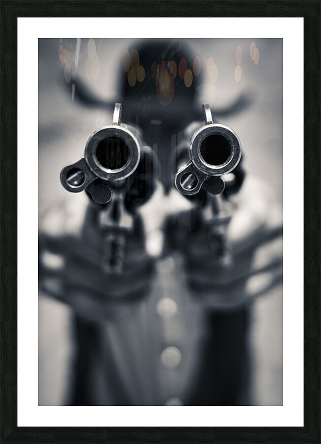 Double Barrel  Picture Frame print