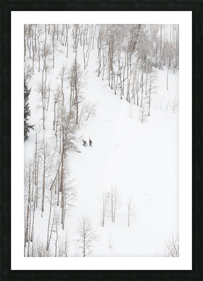 backcountry skiing Picture Frame print