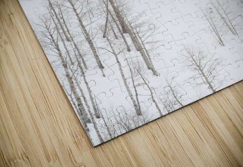 backcountry skiing Kaile Schimka puzzle