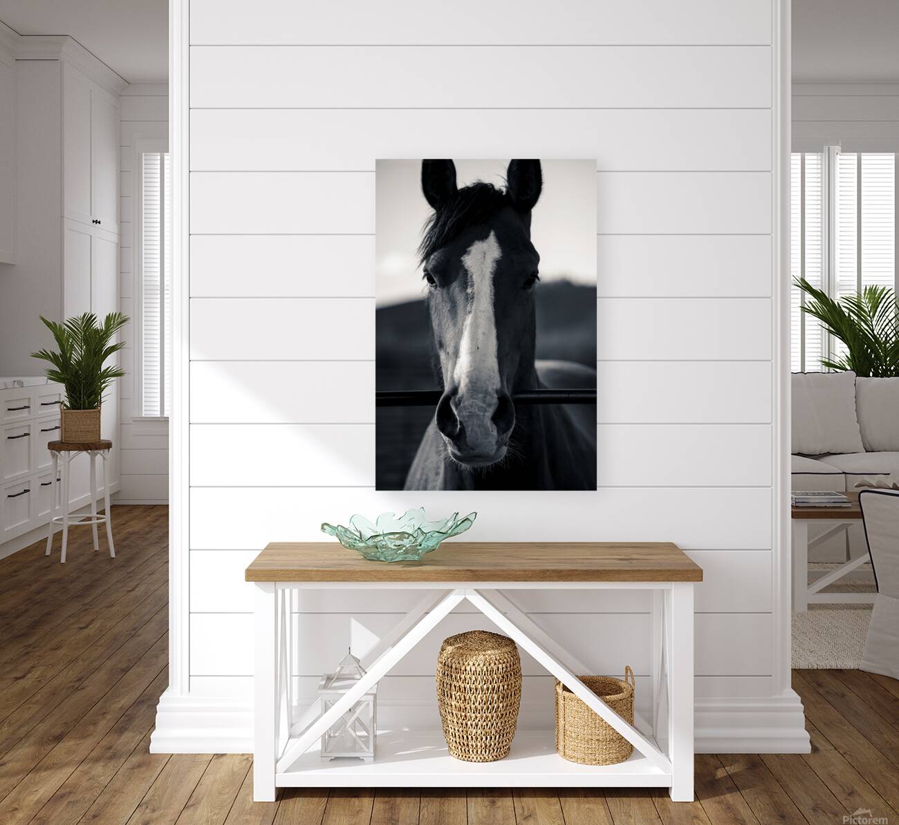 Horse Portrait  Reproduction