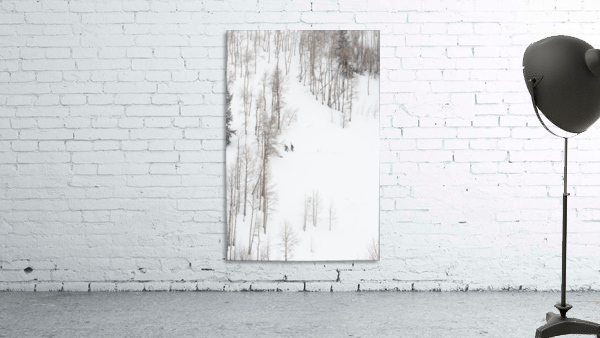 backcountry skiing Wall Preview