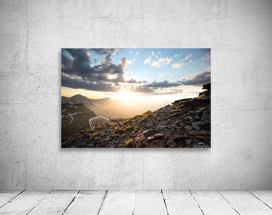 GNP GOAT Sunset Wall Preview