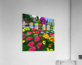 Flower garden Painting Acrylic Print