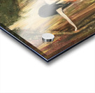 The Mirror Acrylic print