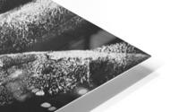 Personalitree HD Metal print