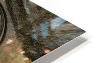 Genesis 11 HD Metal print