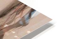self HD Metal print
