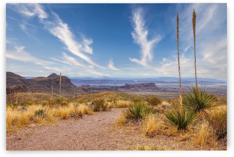 Desert View in Big Bend National Park by Judy Vincent Photography