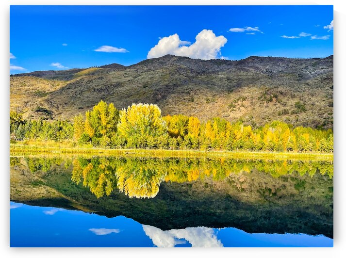 Autumn in Basalt Colorado by Judy Vincent Photography