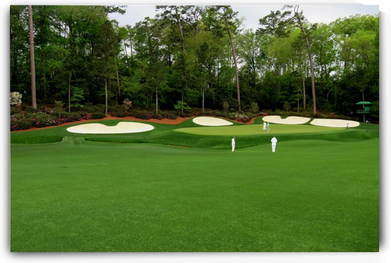The Masters 3 by Judy Vincent Photography
