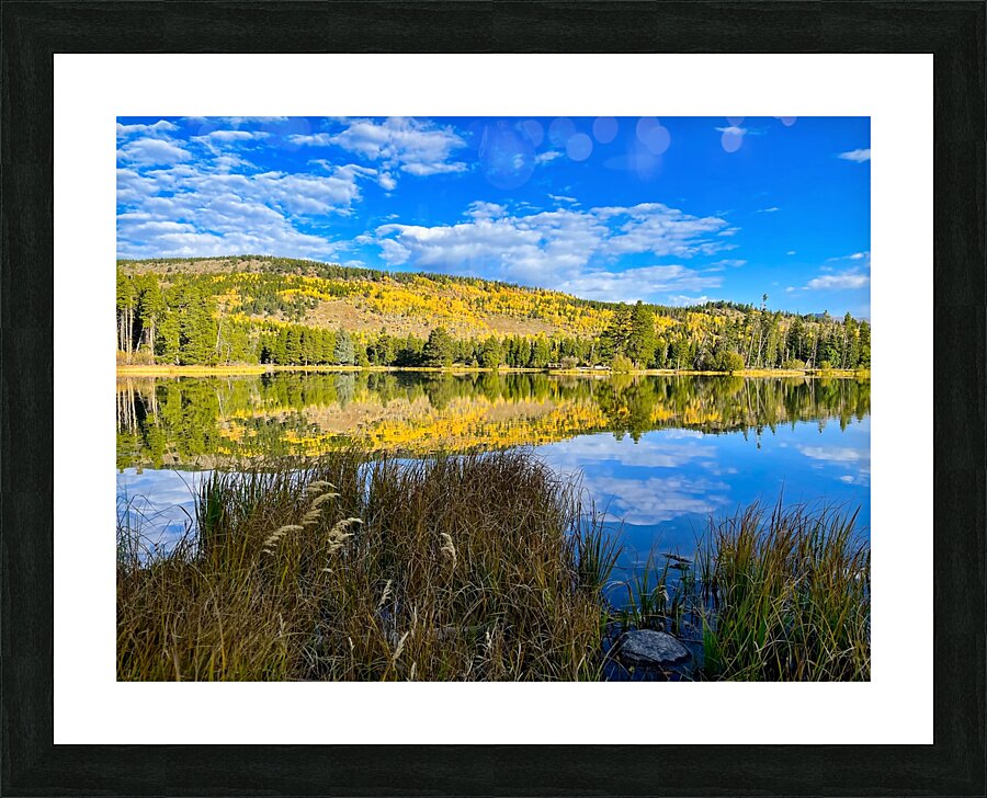 Sprague Lake Reflections Picture Frame print