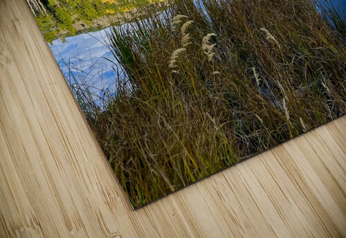 Sprague Lake Reflections Judy Vincent Photography puzzle