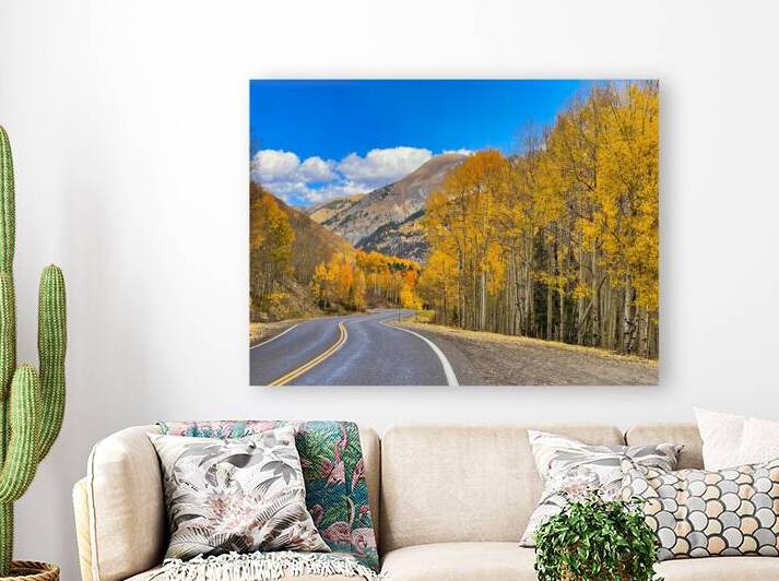 Quaking Aspen Million Dollar Highway by Judy Vincent Photography