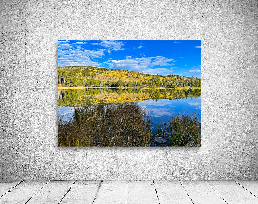 Sprague Lake Reflections Wall Preview
