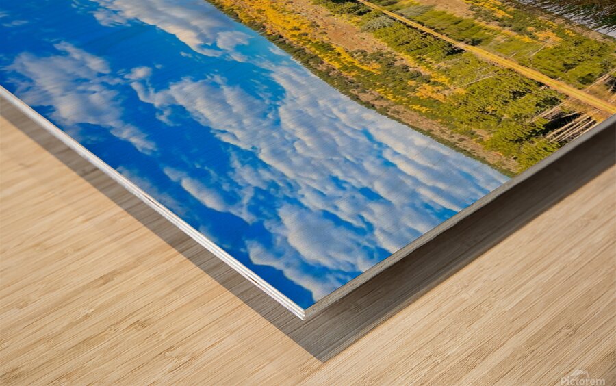 Sprague Lake Reflections Wood print