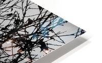 Tree In Winter HD Metal print