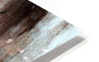 Gest F2 HD Metal print