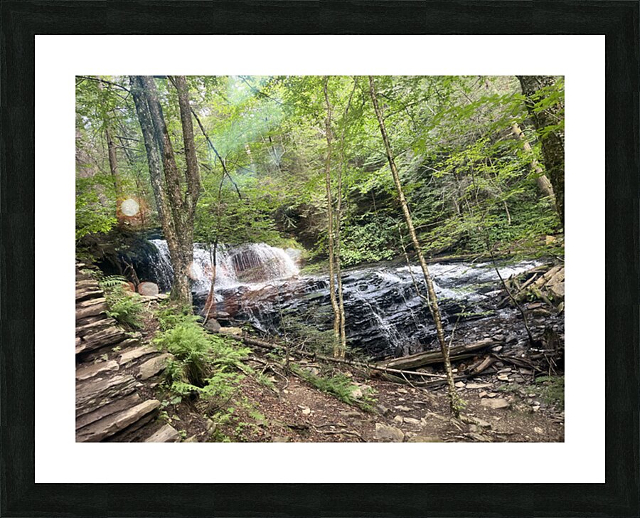 IMG 9876 Picture Frame print