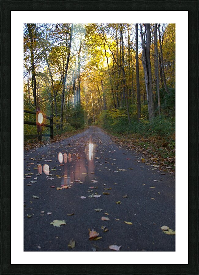 File 003 Picture Frame print