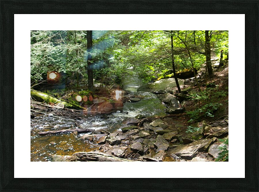 IMGP1481 Picture Frame print