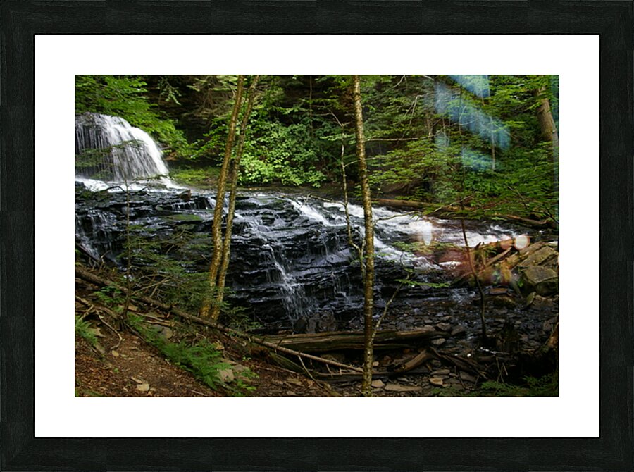 IMGP1462 Picture Frame print