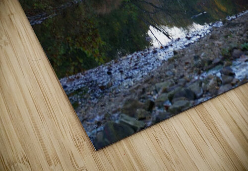 File 002 karissa rodriguez puzzle