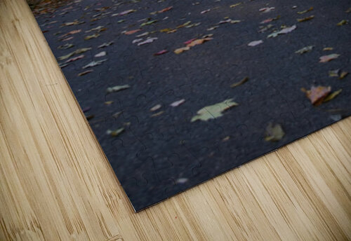 File 003 karissa rodriguez puzzle