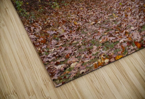 IMGP1780 karissa rodriguez puzzle