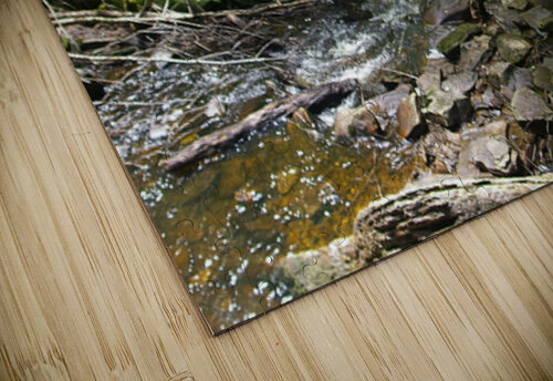 IMGP1481 karissa rodriguez puzzle