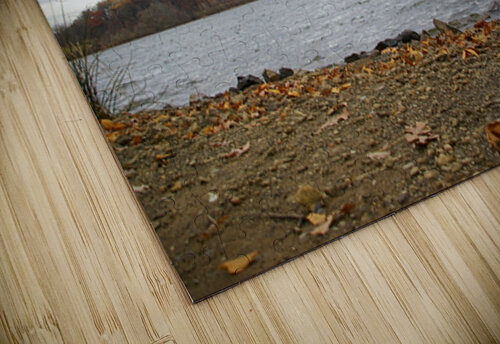IMGP1776 karissa rodriguez puzzle