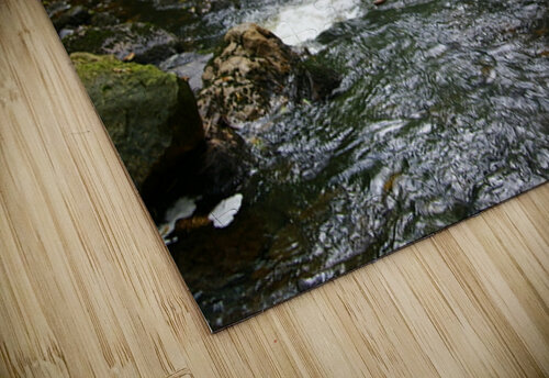 IMGP1449 karissa rodriguez puzzle