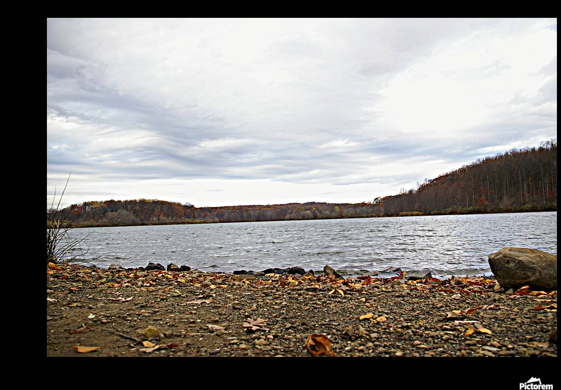 IMGP1776 Reproduction