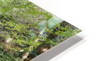 IMG 9876 HD Metal print
