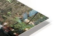 IMG 9888 HD Metal print