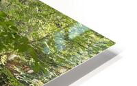 IMG 9874 HD Metal print