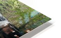 IMG 9894 HD Metal print
