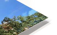 IMG 1900 HD Metal print