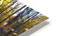 File 003 HD Metal print