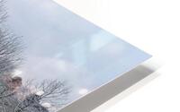 File 004 HD Metal print