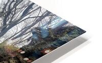 IMG 8124 HD Metal print