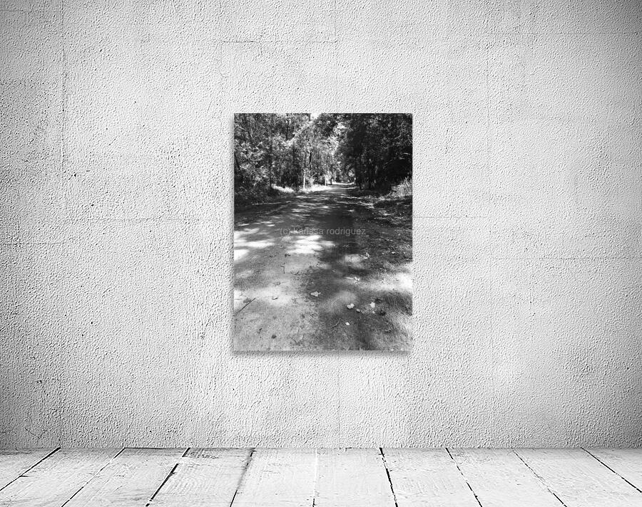 IMG 1573 Wall Preview