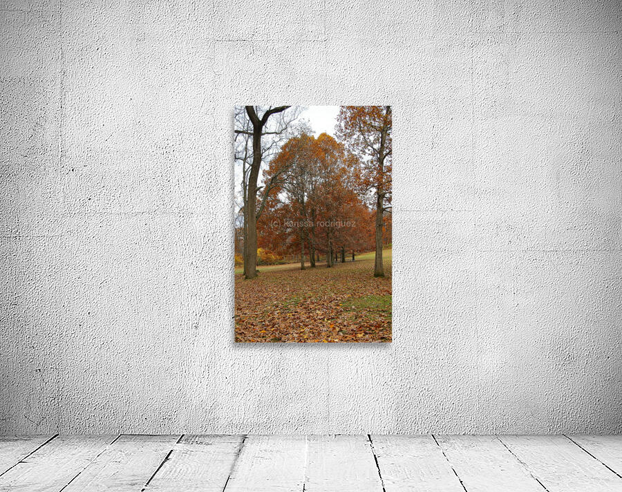 IMGP1781 Wall Preview