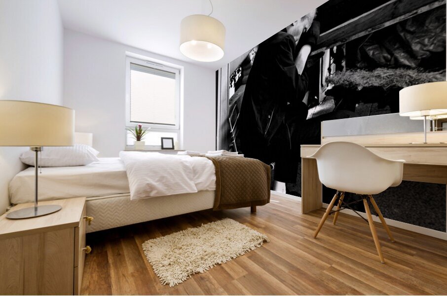 Forty Winks Mural print
