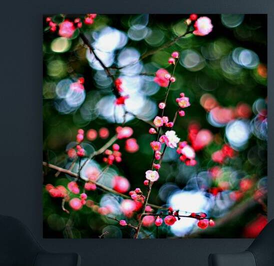 LIMITED EDITION of 10 :  Festival of Light: Blooming Bubble Bokeh                                               by Timothy Kieper