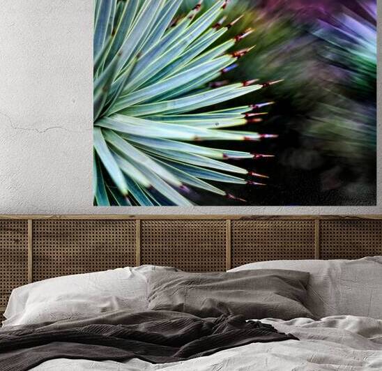Botanical Bokeh Series  Cactus Among Us by Timothy Kieper