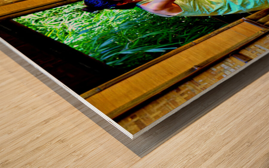 Candid Captures Series : How Do I Look Wood print