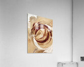 Circular Harmonies Acrylic Print