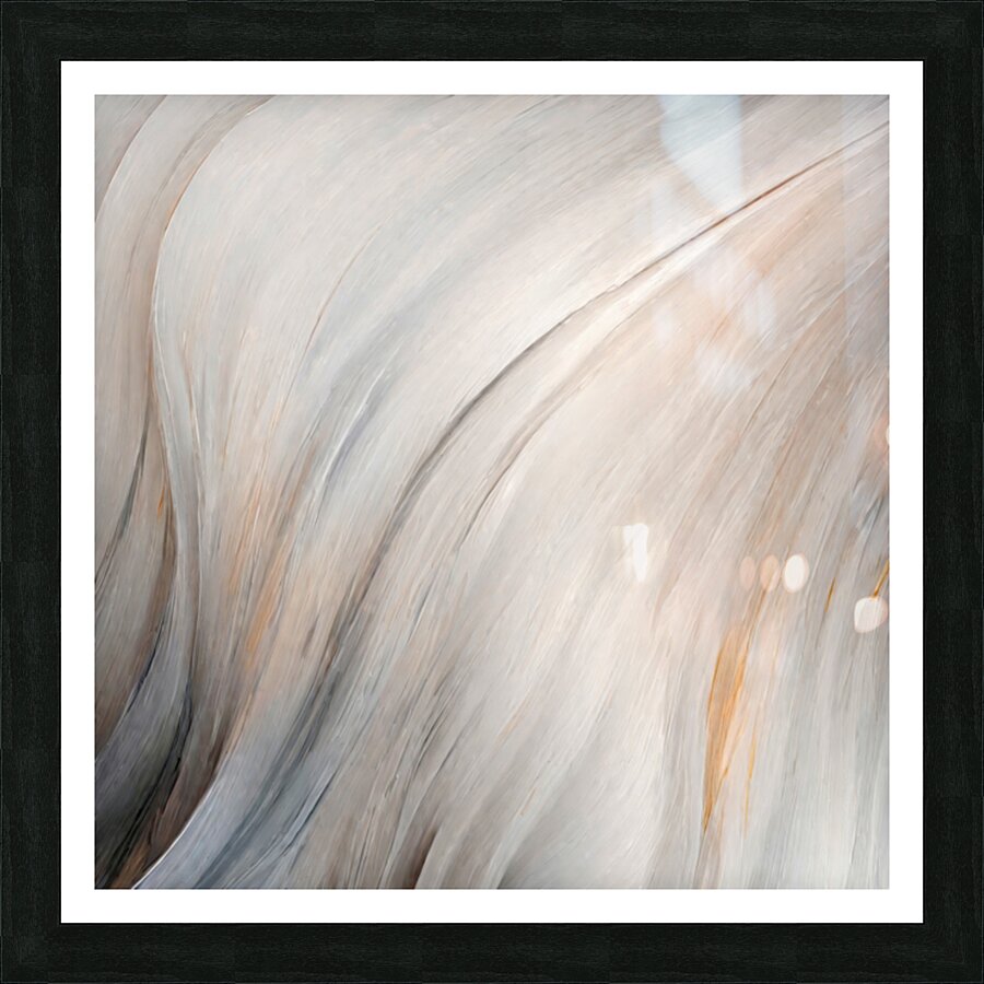 Silken Veils Picture Frame print